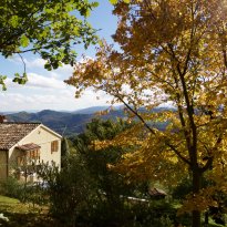 Pergola Le Marche