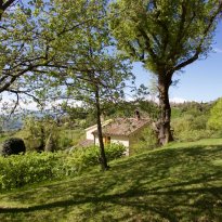 Pergola Le Marche