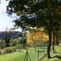 Pergola Le Marche