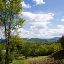 Pergola Le Marche