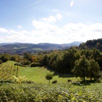 Pergola Le Marche