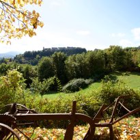 Pergola Le Marche