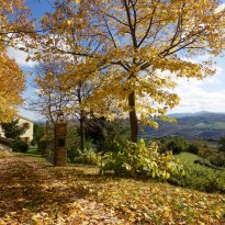 Pergola Le Marche