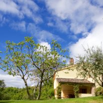 Pergola Le Marche