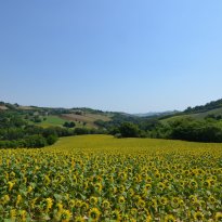 Monteleone di Fermo Le Marche