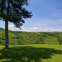 Mombaroccio Le Marche