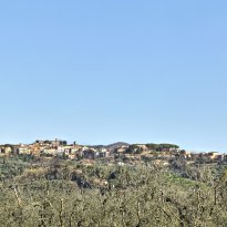 Castagneto Carducci Toscana