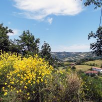 Monastero Bormida Piemonte