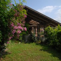 Dogliani Piemonte