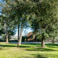 Falerone Le Marche