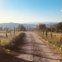Piegaro Umbria