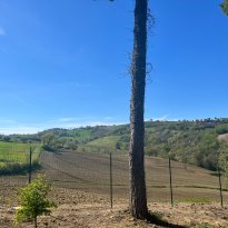 Loretello Le Marche