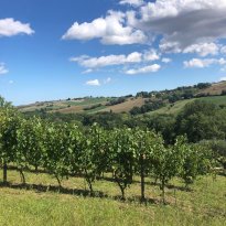 Loretello Le Marche