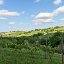 Loretello Le Marche