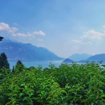 Loveno  Lago di Como