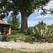 Colleaprico, Arcevia Le Marche