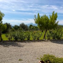 Offida Le Marche