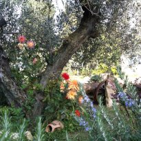 Passignano sul Trasimeno Umbria