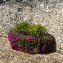 Ceglie Messapica Puglia