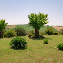 Arcevia Le Marche