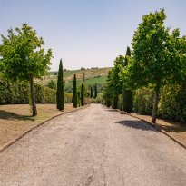 Arcevia Le Marche