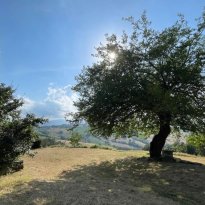 San Ginesio Le Marche