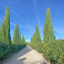 Cortona Toscana