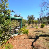 Carovigno Puglia