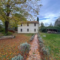 Terre Roveresche Le Marche