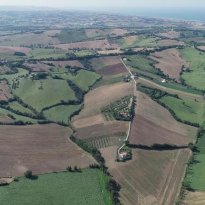 Roncitelli di Senigallia Le Marche