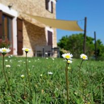 Roncitelli di Senigallia Le Marche