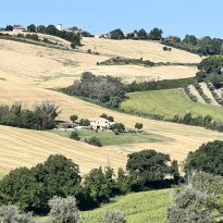 Roncitelli di Senigallia Le Marche