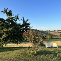 Roncitelli di Senigallia Le Marche