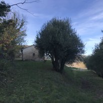 Arcevia Le Marche