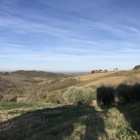 Arcevia Le Marche