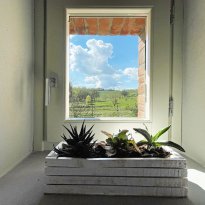 Montepulciano Toscana