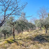 San Ginesio Le Marche