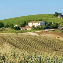 Castelleone di Suasa Le Marche