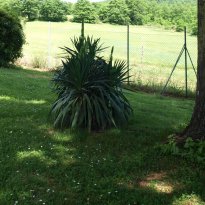 Citta della Pieve Umbria