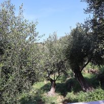 Imperia Liguria