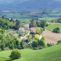 Colli al Metauro Le Marche