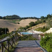 Colli al Metauro Le Marche