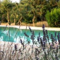 Ceglie Messapica Puglia