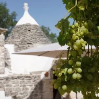 Ceglie Messapica Puglia