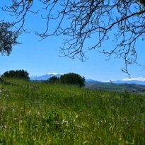 Carassai Le Marche