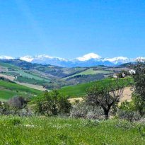 Carassai Le Marche