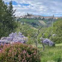 Carassai Le Marche