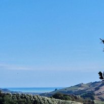 Carassai Le Marche