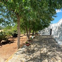 Ceglie Messapica  Puglia