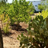 Ceglie Messapica  Puglia